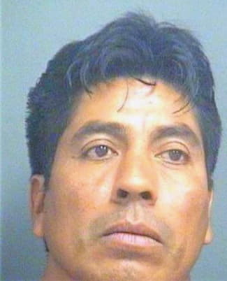 Velasquez Javier - PalmBeach County, FL 