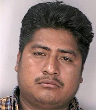 Gonzalezreyes Oscar - Hillsborough County, FL 
