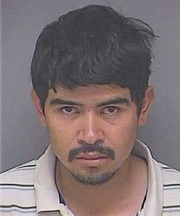 Soto Roberto - Denton County, TX 