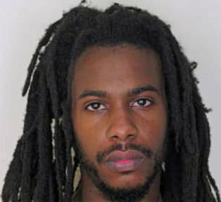 Anderson Alphonso - Hillsborough County, FL 