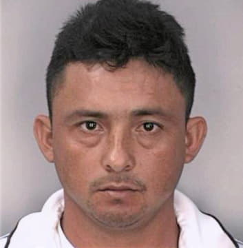 Cruz Enrique - Hillsborough County, FL 