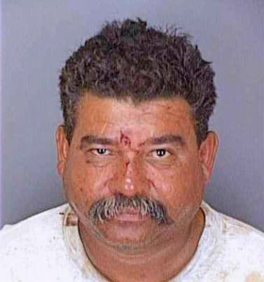 Ortiz Josue - Lee County, FL 