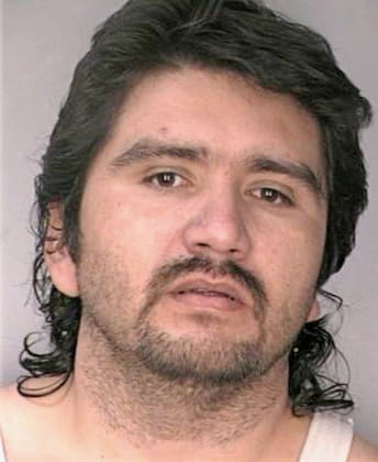 Rodrigueztrevino Miguel - Hillsborough County, FL 