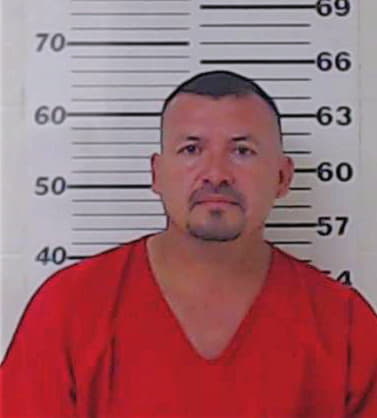 Hernandez Moises - Henderson County, TX 