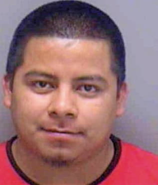 Morales Ramon - Lee County, FL 