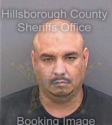 Conde David - Hillsborough County, FL 