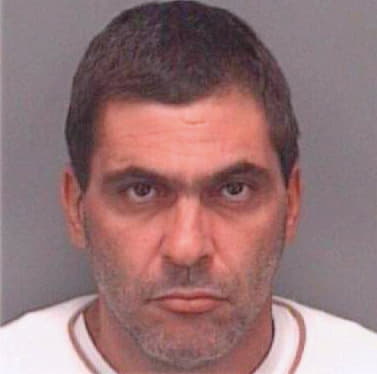 Silva Ernesto - Pinellas County, FL 
