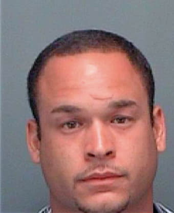Negron Kurt - Pinellas County, FL 