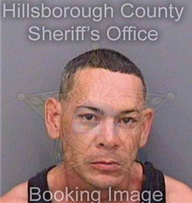 Molinanarvaez Luis - Hillsborough County, FL 