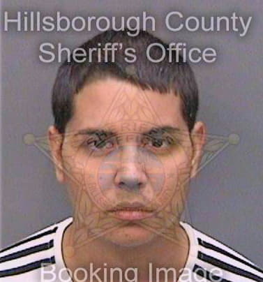 Santisantos Luis - Hillsborough County, FL 