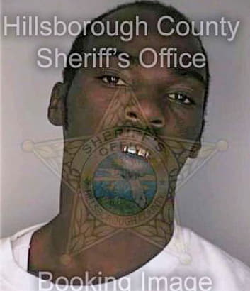 Holloway Marterrence - Hillsborough County, FL 