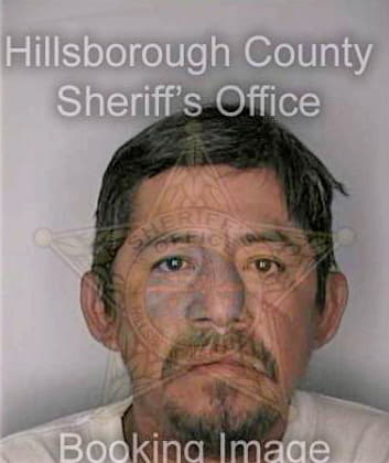 Rubio Alejandrino - Hillsborough County, FL 