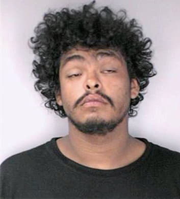 Ramirez Ascencion - Hillsborough County, FL 