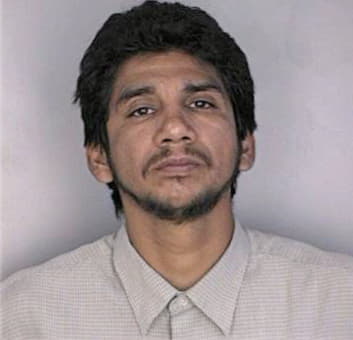 Castillo Hector - Hillsborough County, FL 