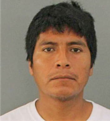 Briseno Julio - Charlotte County, FL 