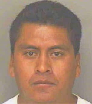 Gonzales Clemente - Polk County, FL 