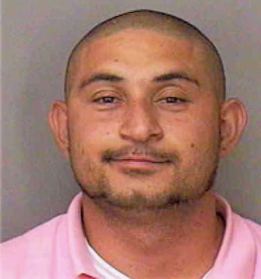 Gomez Jamie - Polk County, FL 