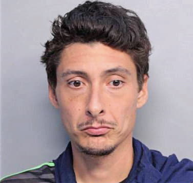 Lieberman Michael - Dade County, FL 