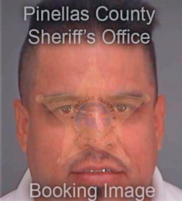 Flores Ramiro - Pinellas County, FL 