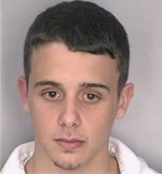 Nicotera David - Hillsborough County, FL 