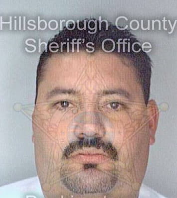 Viera David - Hillsborough County, FL 