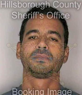 Reyes Efran - Hillsborough County, FL 