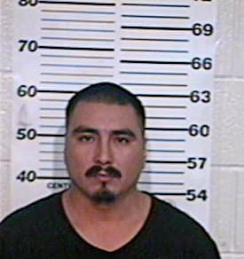 Castillo Flavio - Hidalgo County, TX 