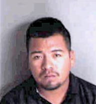Hernandez Leonardo - Sarasota County, FL 