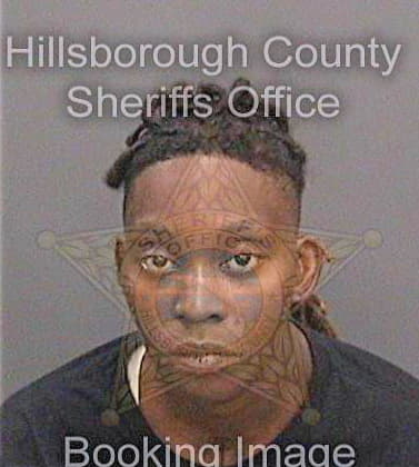 Rollins Tyronda - Hillsborough County, FL 