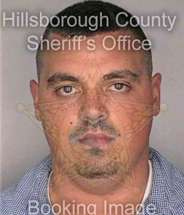 Tice David - Hillsborough County, FL 