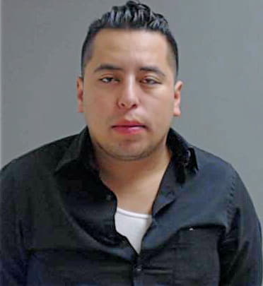 Hernandez Francisco - Hidalgo County, TX 