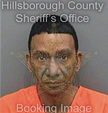 Diming Johnny - Hillsborough County, FL 