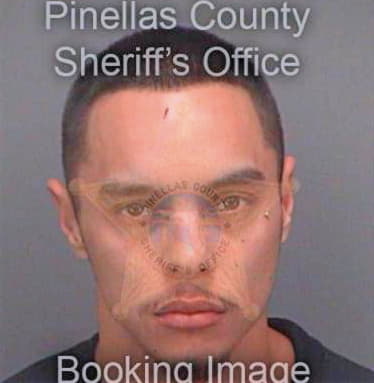 Giroux Thomas - Pinellas County, FL 
