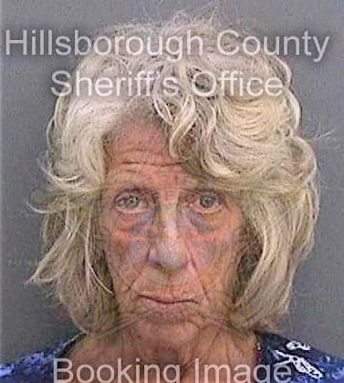 Bonviso Diane - Hillsborough County, FL 