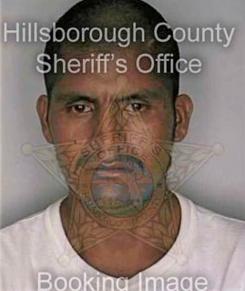 Ramirez Ramir - Hillsborough County, FL 