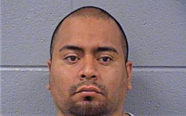 Hernandez Ricardo - Cook County, IL 