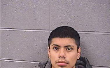 Peralta Alejandro - Cook County, IL 