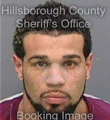 Ramirez Carlos - Hillsborough County, FL 