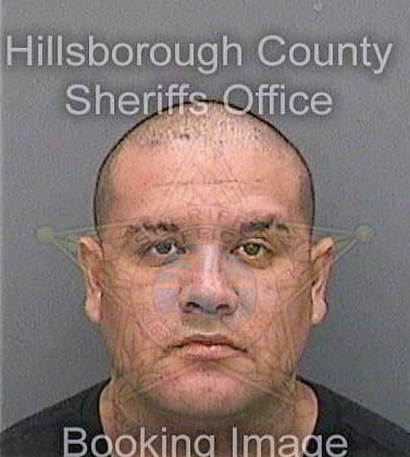 Meza Jose - Hillsborough County, FL 