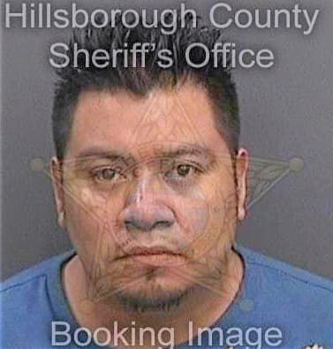 Merinofigueroa Enrique - Hillsborough County, FL 