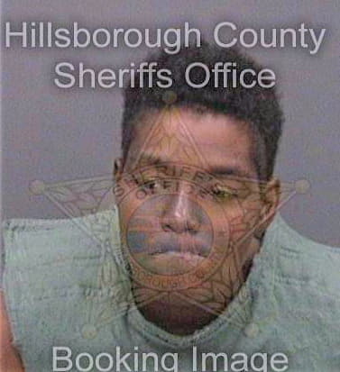Mcnealy Netasha - Hillsborough County, FL 
