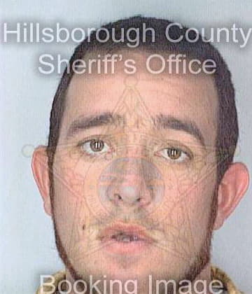 Johnson Brad - Hillsborough County, FL 