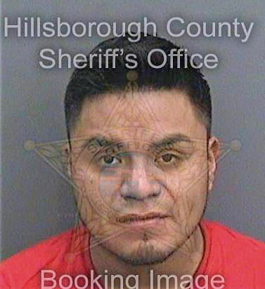 Castro Miguel - Hillsborough County, FL 