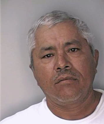 Renteria Silbano - Hillsborough County, FL 