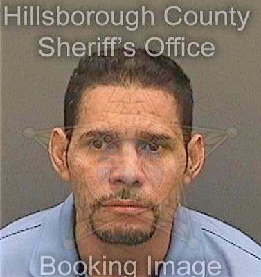 Pachecogonzales Jose - Hillsborough County, FL 