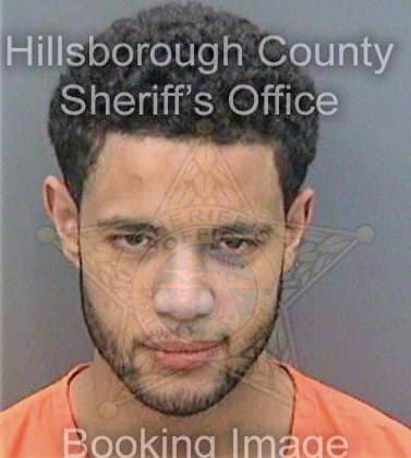 Belghezi Mohammed - Hillsborough County, FL 