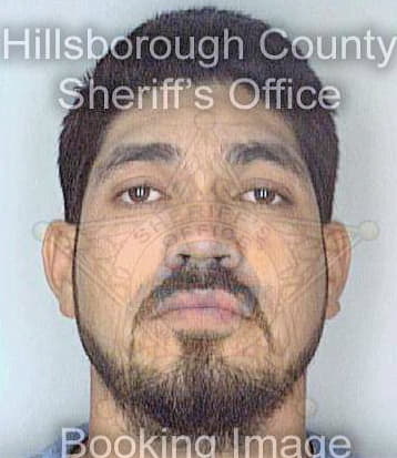 Paradarodriguez Jorge - Hillsborough County, FL 