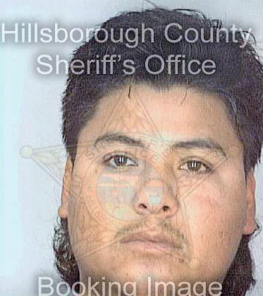 Sanchezarvizu Alejandro - Hillsborough County, FL 