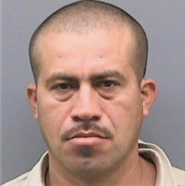 Maldonado Pilar - Hillsborough County, FL 