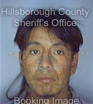 Mejiaescalante Ruben - Hillsborough County, FL 